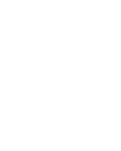 Pieron logo